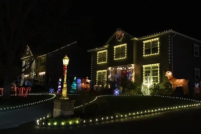 DSC_6739 (Large).JPG